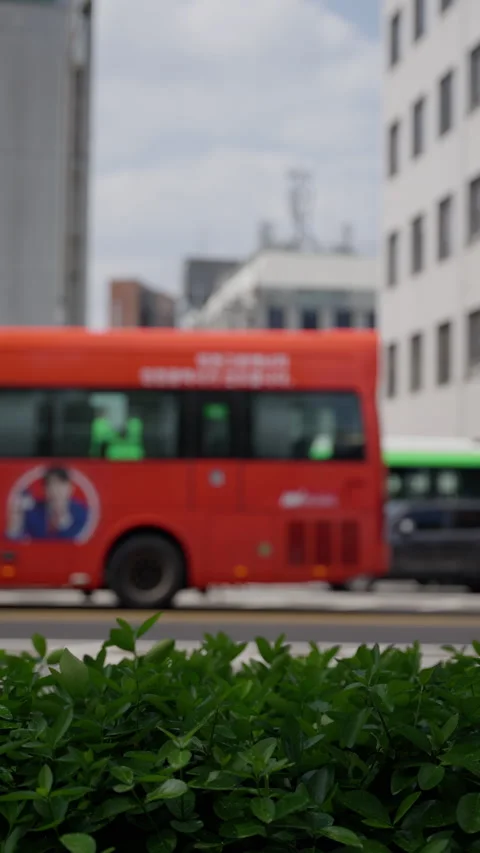 Dynamic urban street scene featuring colorful buses and cars moving past modern Stock Footage 310488248