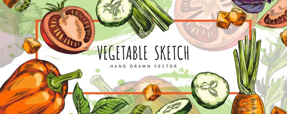 Dynamic vegetable sketch border vector Stock Illustration