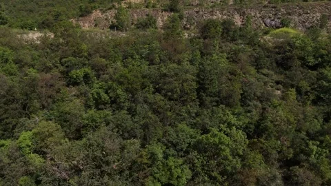 Dynamic Vertical Tilt Drone Stock Footage 314521805