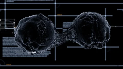 Dynamic video materials on bacteria, viruses, biomedicine, and medicine Stock Footage 342462403