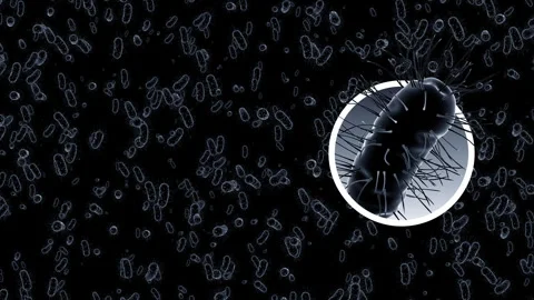 Dynamic video materials on bacteria, viruses, biomedicine, and medicine Stock Footage 342462494