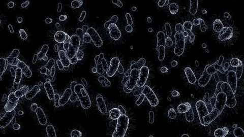 Dynamic video materials on bacteria, viruses, biomedicine, and medicine Stock Footage 342463903
