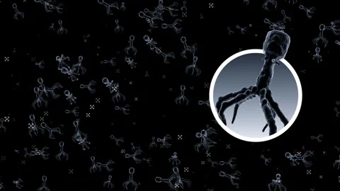 Dynamic video materials on bacteria, viruses, biomedicine, and medicine Stock Footage 342469627