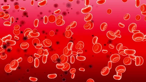 Dynamic video materials on bacteria, viruses, biomedicine, and medicine Stock Footage 342493259