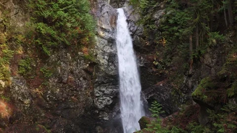 A dynamic view of Cascade Falls Stock Footage 257120251
