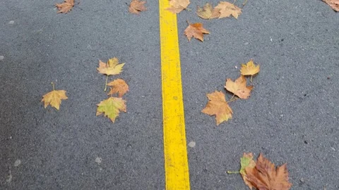 Dynamic walking shot along asphalt road with yellow line and leaves Stock Footage 322040800