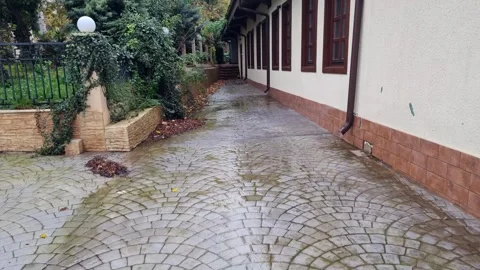 Dynamic walkway beside building with ivy-covered garden and wet pavement Stock Footage 322040802