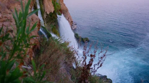 Dynamic water currents combined with lively foliage inspire adventure pursuits Video stock 331556893