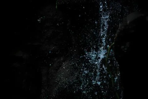 Dynamic Water Splash and Droplets Falling Against a Dark Background Stock Photos