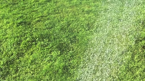 Dynamic water spray moving over grassy field Stock Footage 316603432