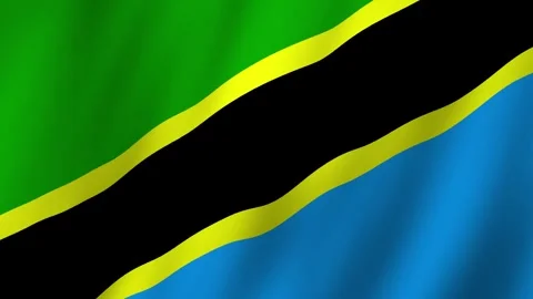 Dynamic Waves The Flag of Tanzania in the Wind Vídeos de archivo 280102651
