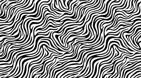 Dynamic wavy zebra stripe pattern black and white backdrop. Stockillustratie