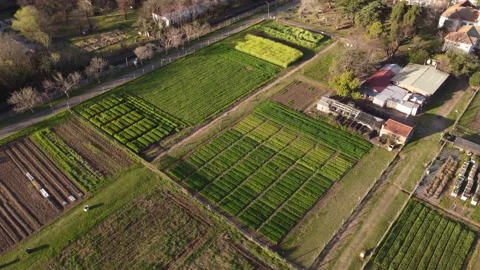 A dynamic wide-angle aerial shot of the sunset over a vegetable plot farm Vídeos de archivo 231498650