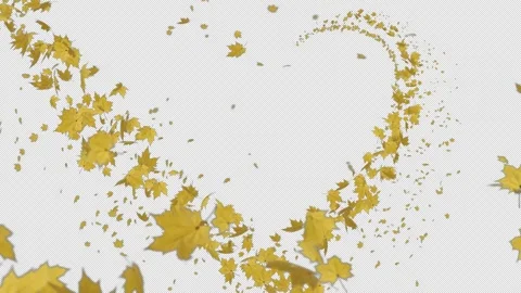 Dynamic Yellow Maple Flowing Curve Alpha Loop Stock Footage 312717766