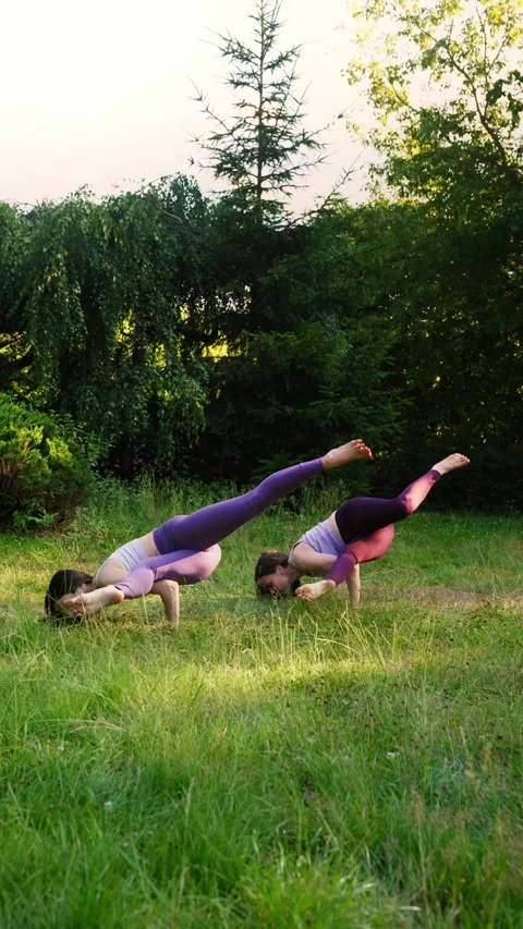 Dynamic Yoga Poses Performed by Two Practitioners synchronously in Nature Stock Footage 282994600