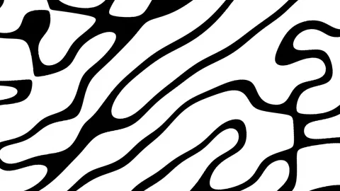 Dynamic zebra pattern thin, elongated black and white stripes in diagonal Stock Footage 270406684