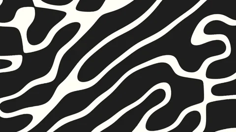 Dynamic zebra print bold black and white stripes, perfect for fashion and decor Stock Footage 297615811