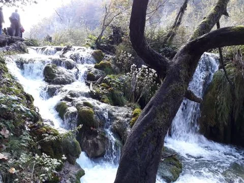 Dynamics of Waterfalls in the Mountains Stock Photos