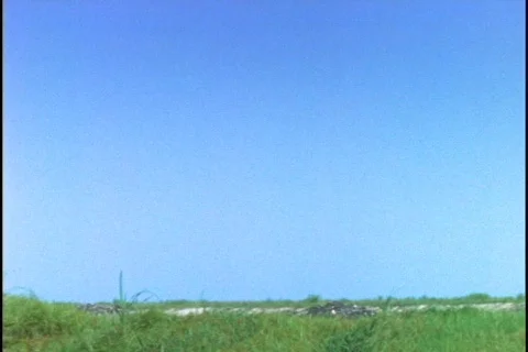 Dynamite explodes at a limestone mine in Florida. Stock Footage 551941