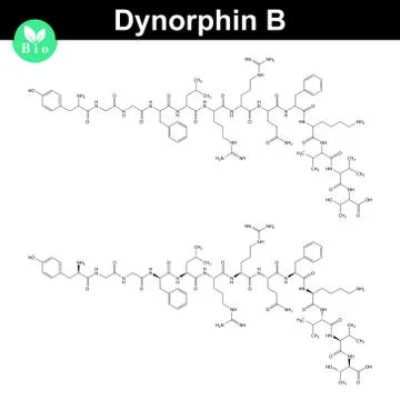 Dynorphin B chemical structure Stock Illustration