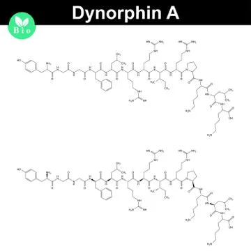 Dynorphin A chemical structure Stock Illustration