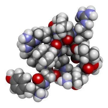 Dynorphin a endogenous opioid peptide molecule. 3D rendering. Stock Illustration