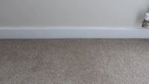 Dyson  hoover Video stock 134163709