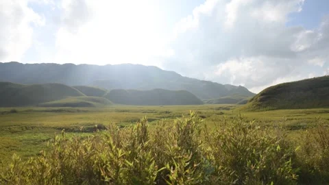 Dzukou Valley Grasslands - Sunlight Timelapse Stock Footage 345631550