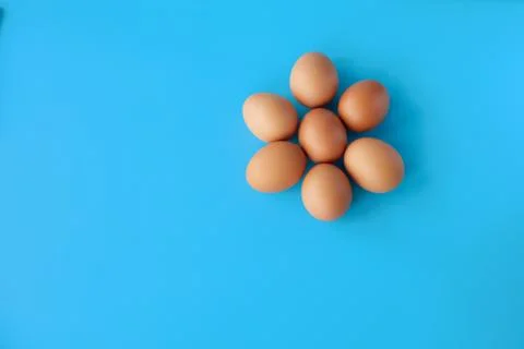 E brown eggs on blue background Stock Photos