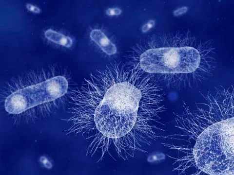 E. coli, artwork Stock Illustration