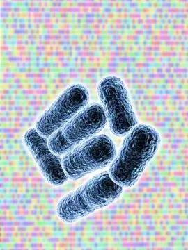 E coli bacteria, artwork Stock Illustration