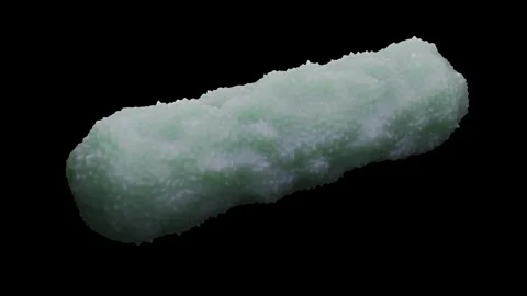 E. coli bacteria Stock Footage 305632375