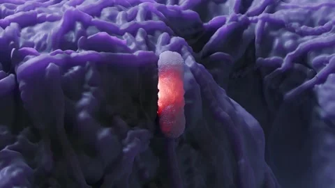 E. coli bacteria Stock Footage 305632378