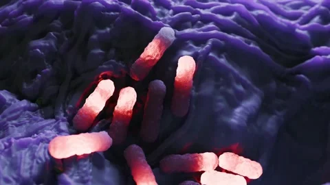 E. coli bacteria Stock Footage 305632379