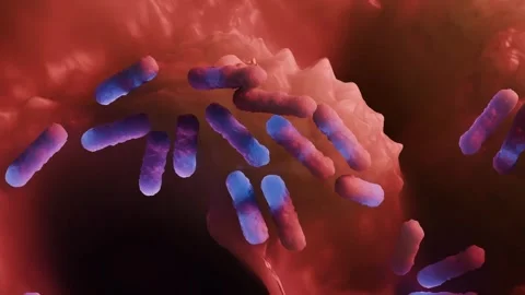 E. coli bacteria Stock Footage 305632390