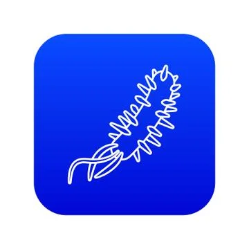 E coli bacteria icon blue vector Stock Illustration