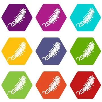 E coli bacteria icons set 9 vector Stock Illustration