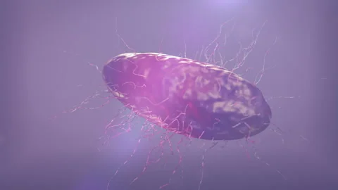 E. coli bacteria in motion. | Stock Video | Pond5