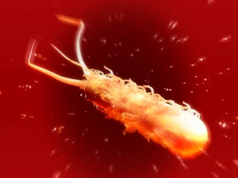 E coli bacterium, computer artwork Stock Illustration