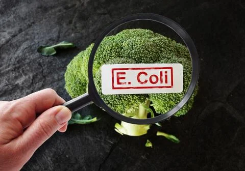 E Coli contamination Stock Photos