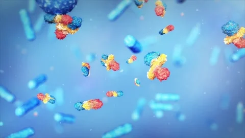 E. coli, drug molecules, intestinal probiotics, and beneficial bacteria Stock Footage 345200088