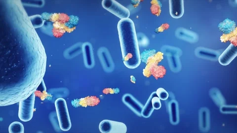 E. coli, drug molecules, probiotics, bacteria, and viruses Stock Footage 345200044
