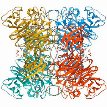 E coli virulence factor molecule Stock Illustration