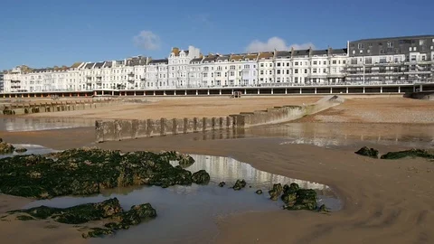 E German Wirehaired Pointer dog walks past Hastings houses slow motion 動画素材 117807687