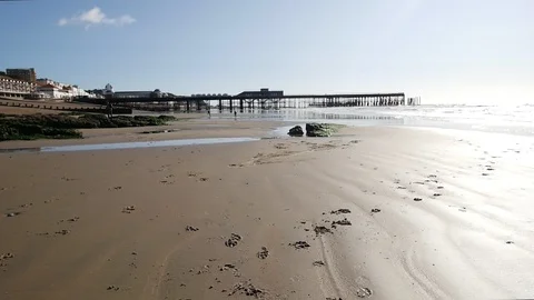 E German Wirehaired Pointer dogs run from Hastings pier slow motion Stock Footage 117802793