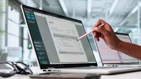 E-Invoice Software For Business Accountant Doing Spreadsheet Stock Footage 313357462