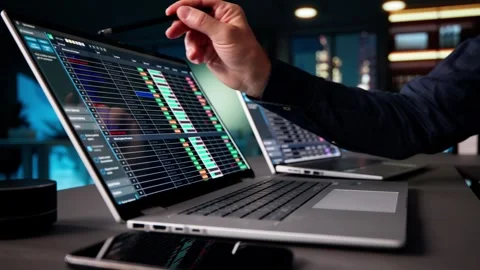 E Invoice Spreadsheet On Business Laptop Stock Footage 318754956