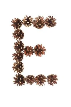 E letter made of pine cone Stock Photos