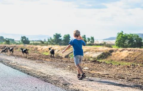 E little boy back view look far away want try catch goats move run. Healthy Foto stock