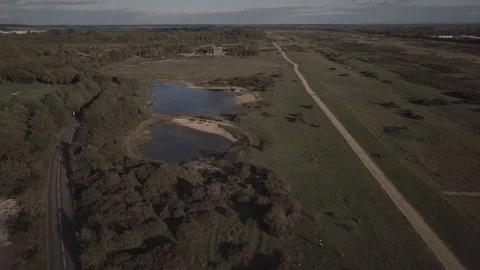 E Moving down to dog having fun at Greenham Common 4K Stock Footage 123704891